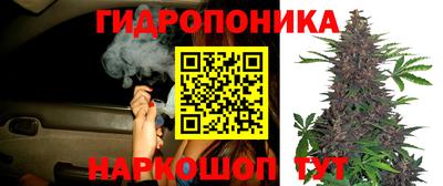 apvp Донецк